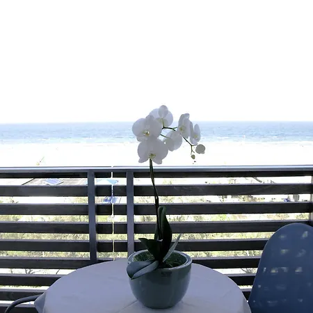 Otel Kiss Beachfront & Restaurant 3*